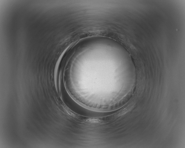 X0000080800528200701051422