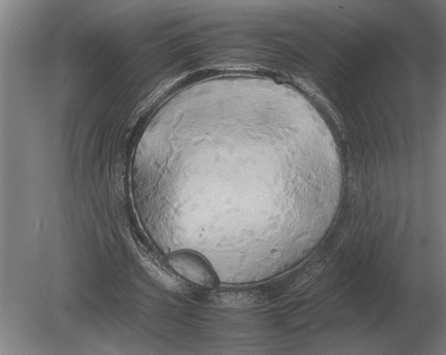 X0000080800533200701051422
