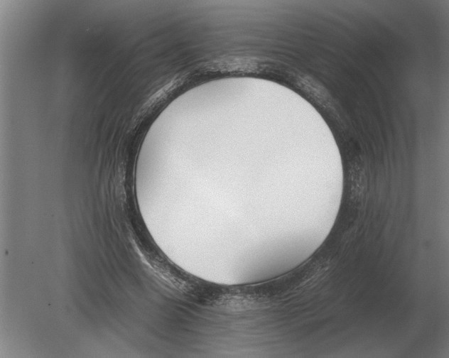 X0000080800538200701051422