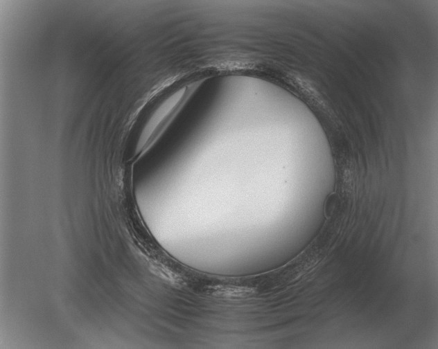 X0000080800539200701051422