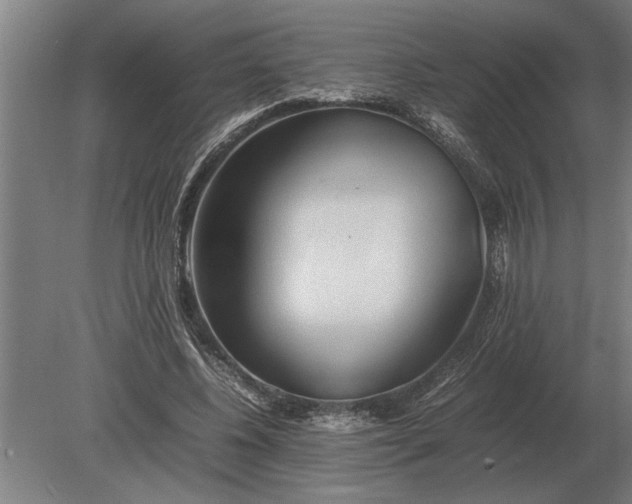 X0000080800540200701051422