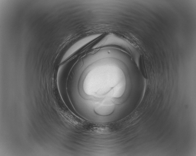 X0000080800552200701051422