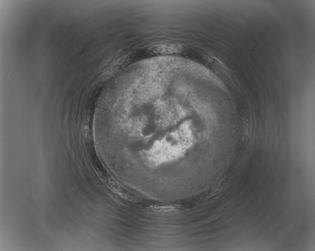 X0000080800553200701051422
