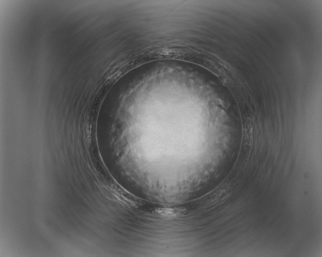 X0000080800558200701051422
