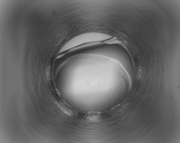 X0000080800560200701051422