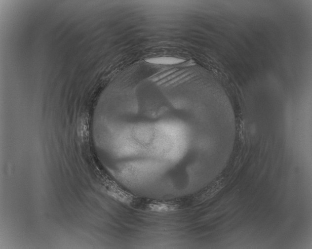 X0000080800561200701051422