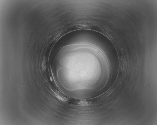 X0000080800562200701051422