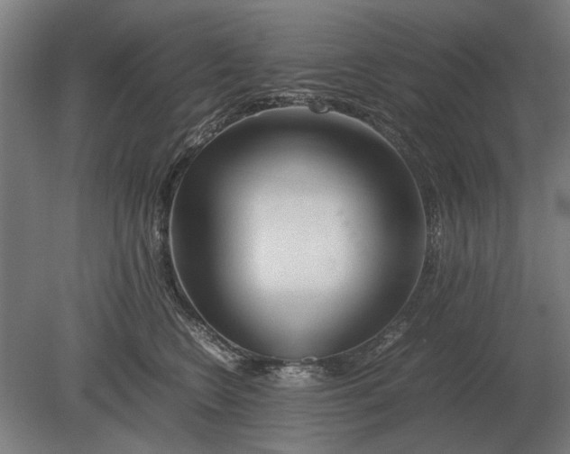 X0000080800566200701051422