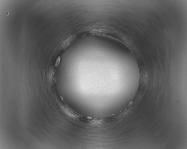 X0000080800574200701051422