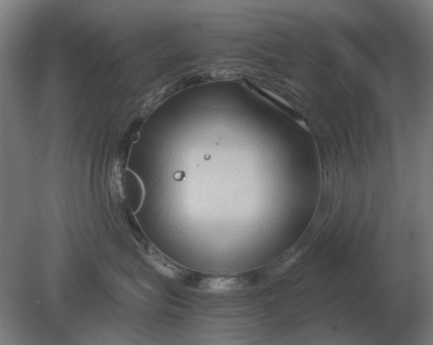 X0000080800575200701051422