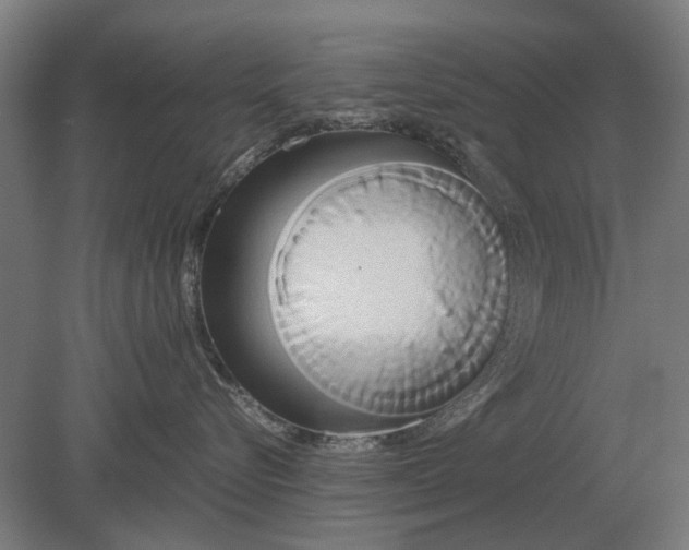 X0000080800576200701051422