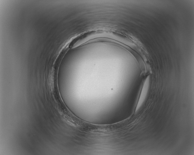 X0000080800580200701051421