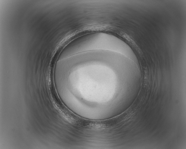 X0000080800582200701051421