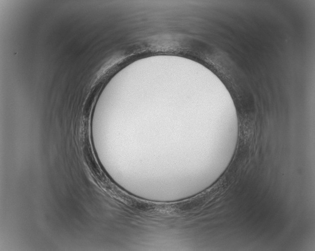 X0000080800583200701051421