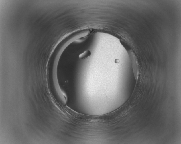 X0000080800584200701051421