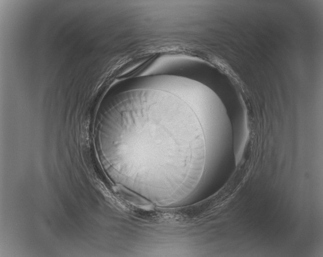 X0000080800585200701051421