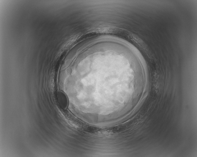 X0000080800586200701051421