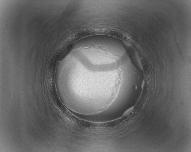 X0000080800593200701051421