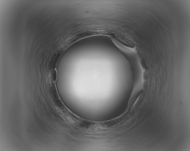 X0000080800597200701051421