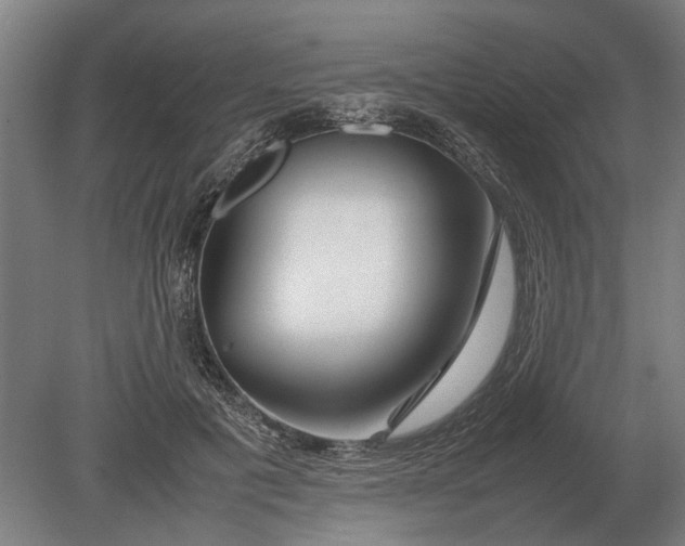X0000080800601200701051421
