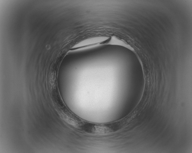 X0000080800605200701051421