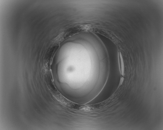 X0000080800611200701051421
