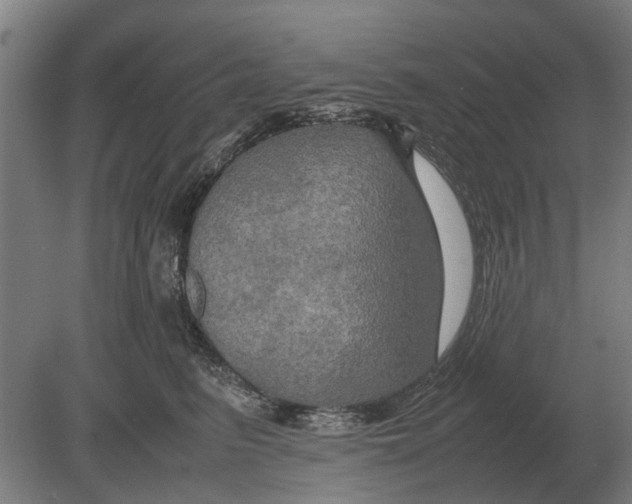 X0000080800615200701051421