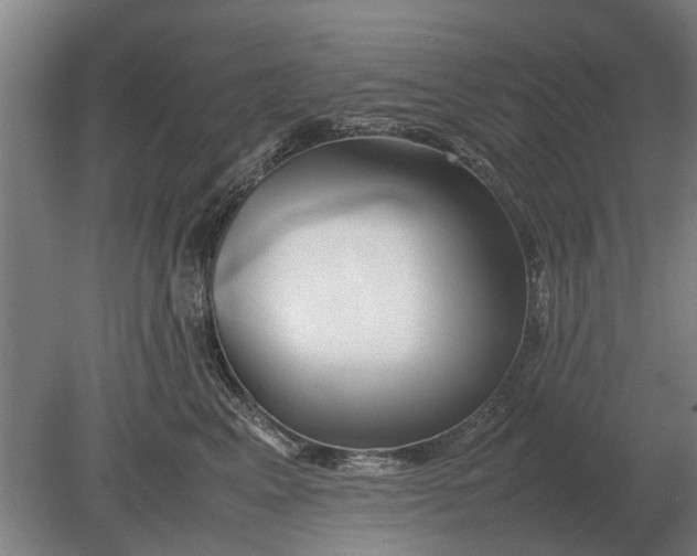 X0000080800617200701051421