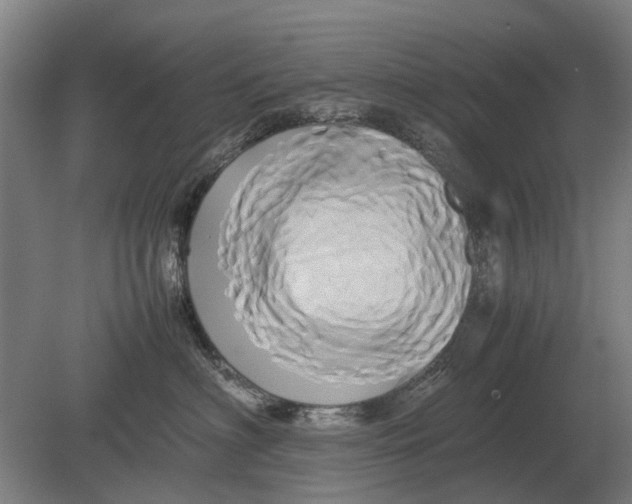 X0000080800622200701051421