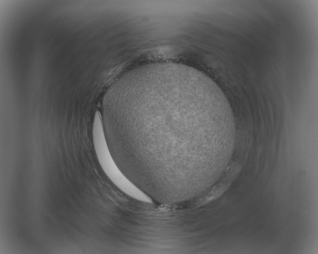 X0000080800624200701051421