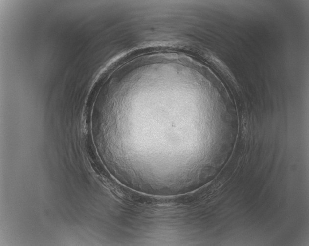 X0000080800628200701051420