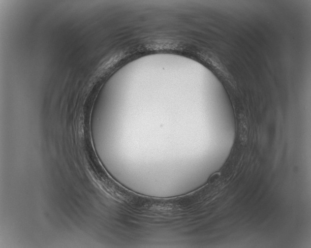 X0000080800631200701051420