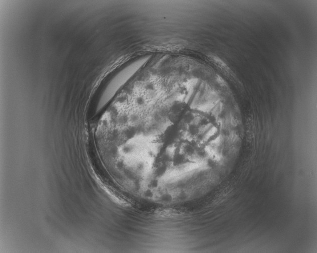 X0000080800634200701051420