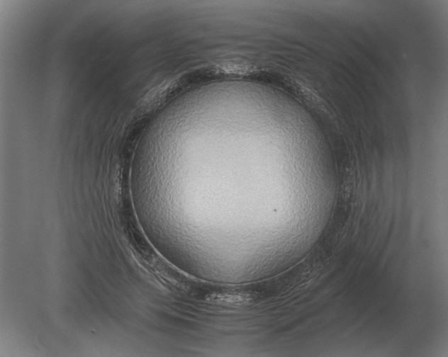 X0000080800639200701051420