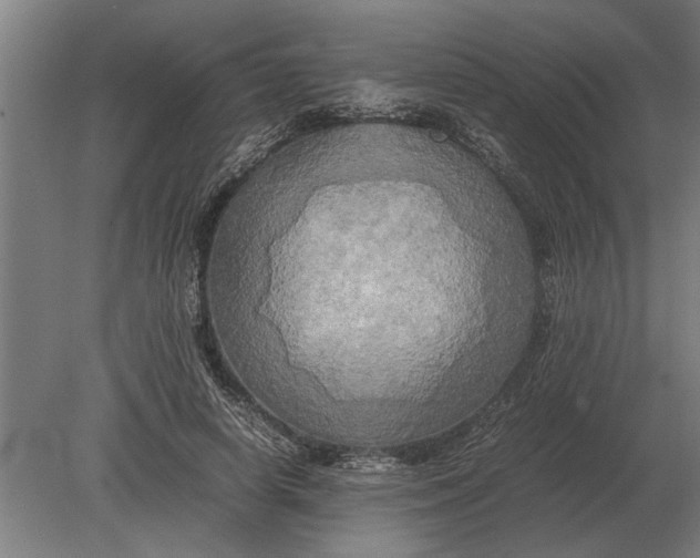 X0000080800642200701051420