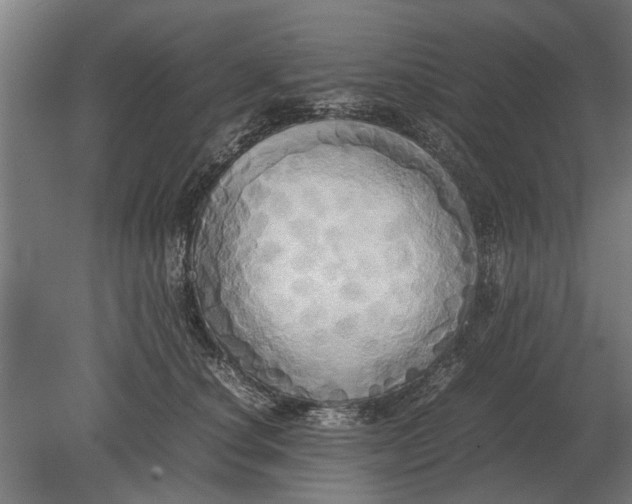 X0000080800660200701051421