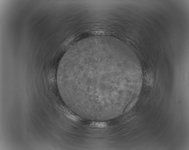 X0000080800665200701051421