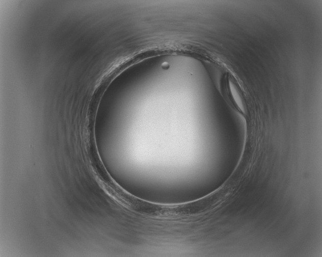 X0000080800677200701051420