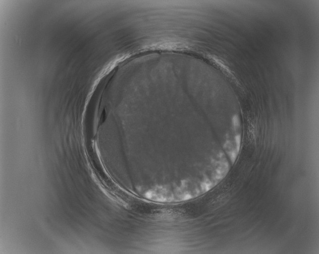 X0000080800678200701051420