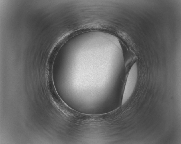 X0000080800680200701051420