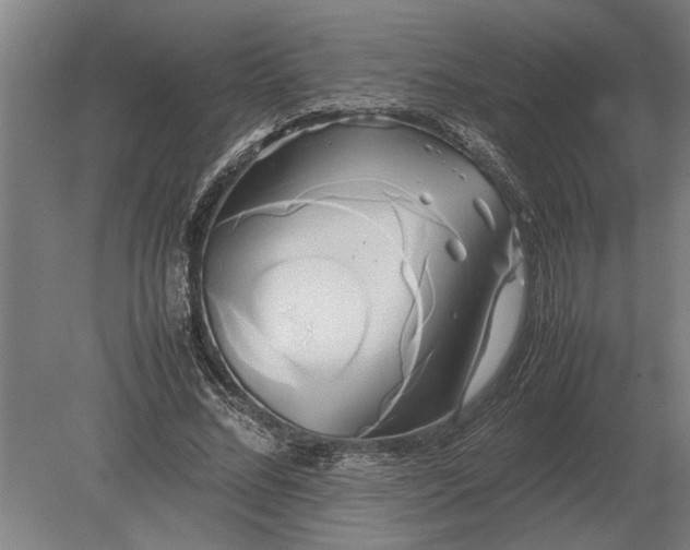 X0000080800684200701051420
