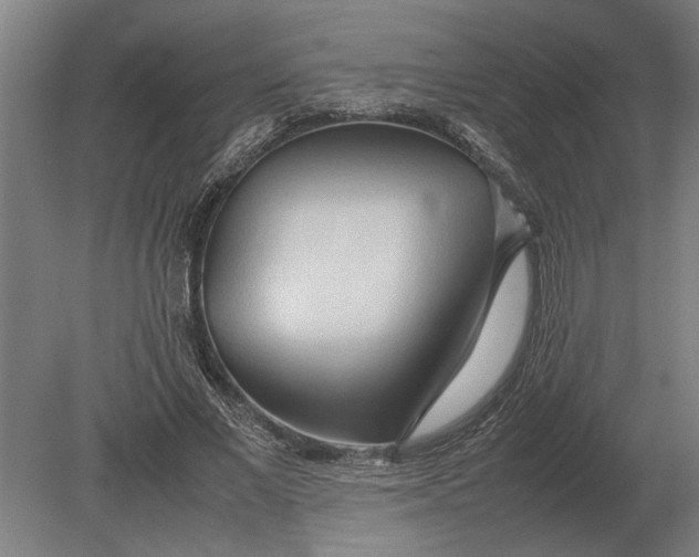 X0000080800685200701051420