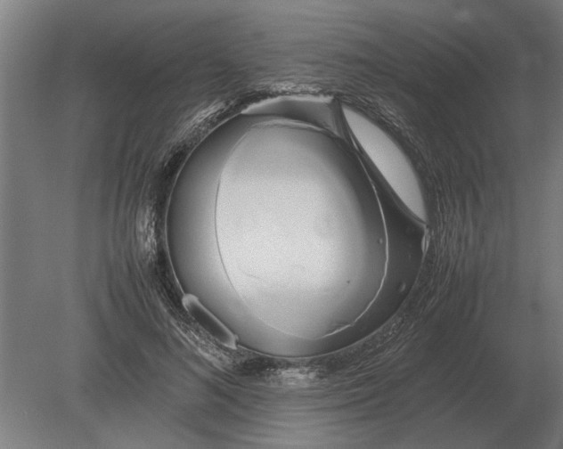 X0000080800692200701051420