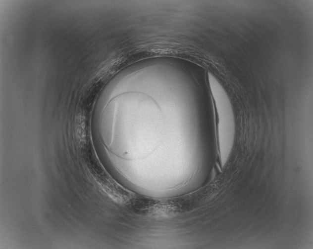 X0000080800696200701051420