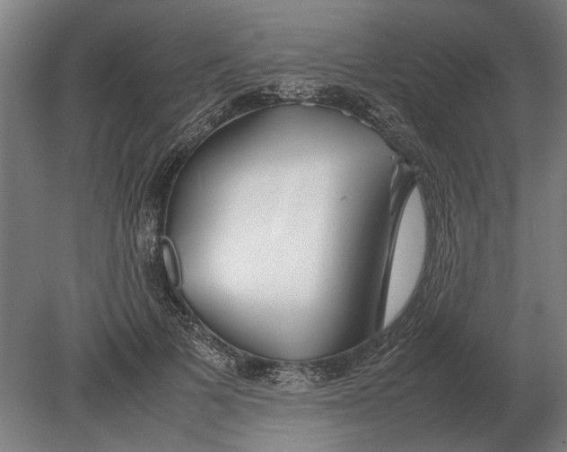 X0000080800697200701051420