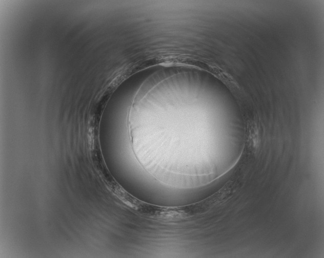 X0000080800716200701051419