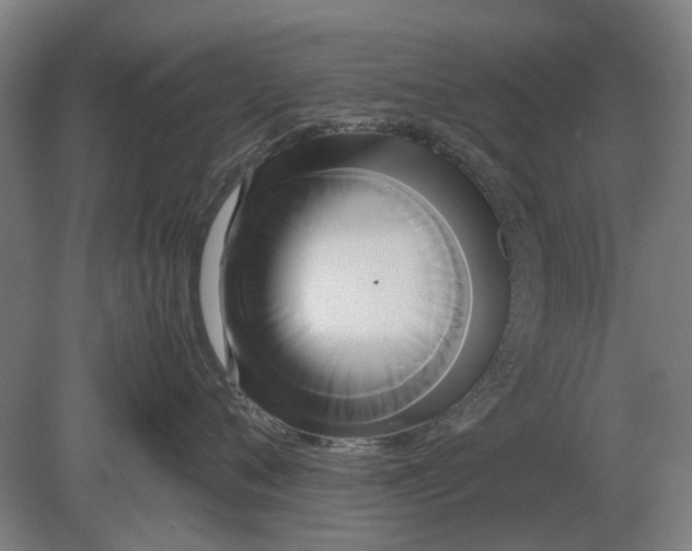 X0000080800720200701051419