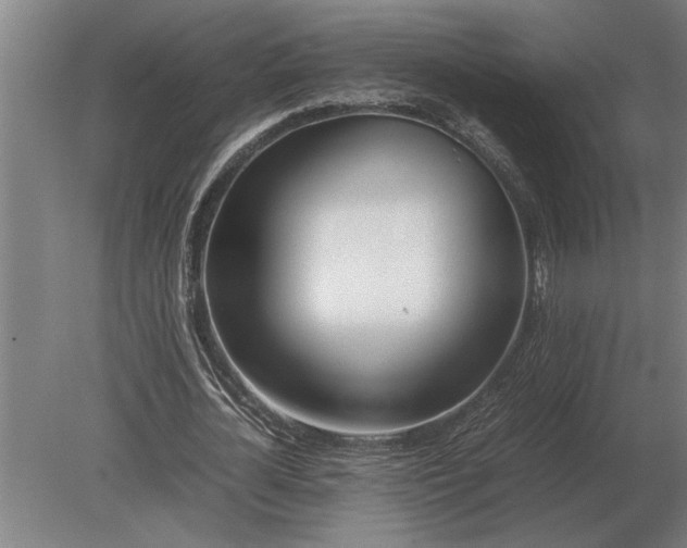 X0000080800724200701051418