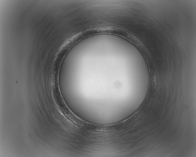 X0000080800732200701051419