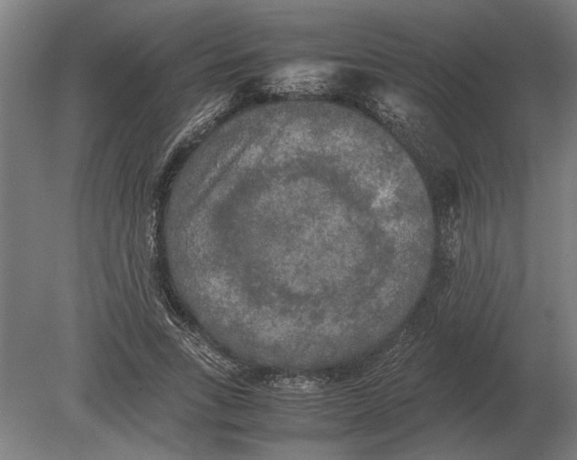 X0000080800735200701051419